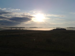 Rojaus kampelio Ryto Vaizdai